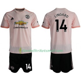 Fußballtrikots Manchester United Lingard 14 Kinder 2018-2019 Kurzarm Auswärts-trikot kaufen